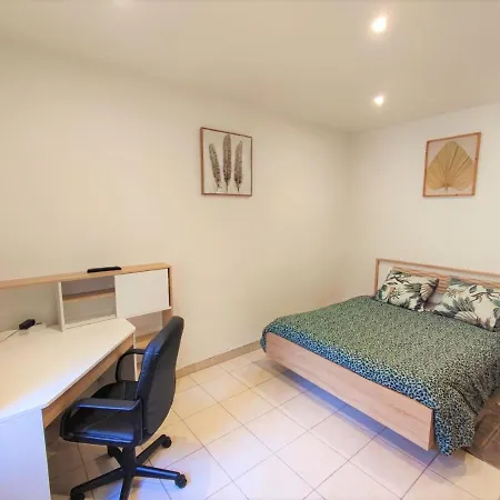 Collection Appartements Aux Halles Brauhauban De Tarbes