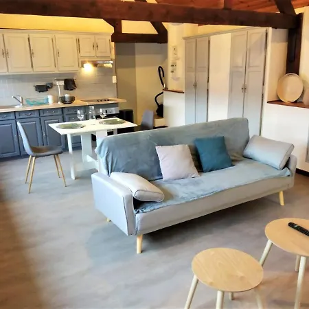 Collection Appartements Aux Halles Brauhauban De Tarbes Tarbes