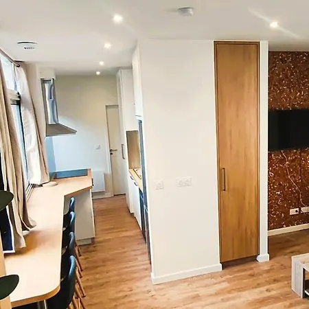 Appartements - Halles Brauhauban Tarbes Apartment Tarbes