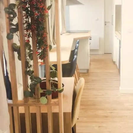 Collection Appartements Aux Halles Brauhauban De Tarbes *