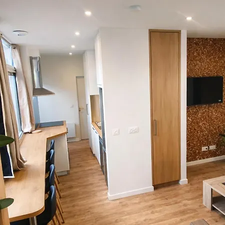 Apartment Appartements - Halles Brauhauban Tarbes Tarbes