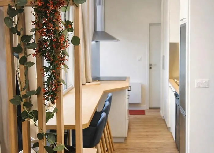 Collection Aux Halles Brauhauban De Apartament *