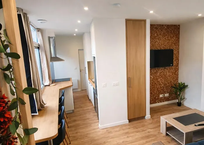 Apartman Collection Aux Halles Brauhauban De Tarbes